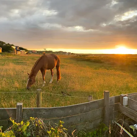 Lejlighed Sunshine *